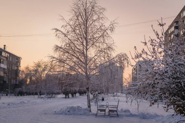 karlı Park'ta yalnız tezgah