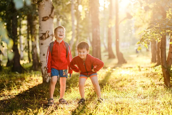 two cheerful boys on the Sunny meadow. Two boys in shorts in the Park on warm summer evening