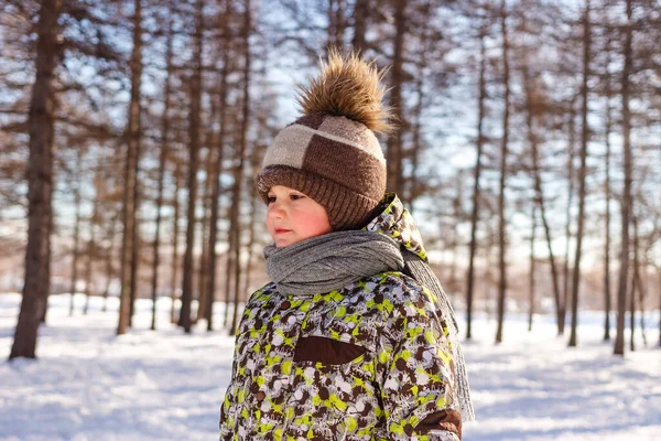 Five-year-old red-cheeked boy in a warm hat and scarf — Stock Photo, Image