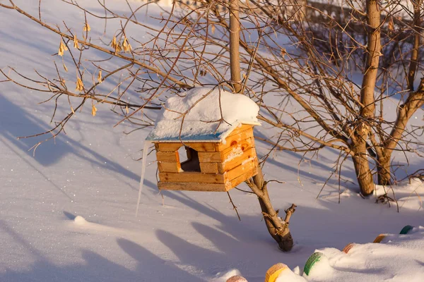 Wooden birdhouse for birds on a tree — Stock Photo, Image