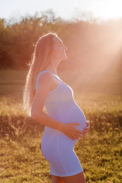 Mujer Embarazada Vestido Elegante Contraluz Puesta Del Sol Del Verano —  Fotos de Stock