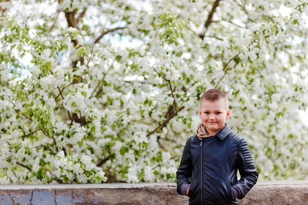 Garoto Sorridente Sete Anos Idade Jaqueta Couro Perto Macieiras Florescentes — Fotografia de Stock