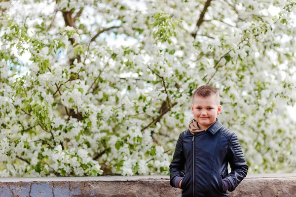 Garçon Souriant Sept Ans Vêtu Une Veste Cuir Près Pommiers — Photo