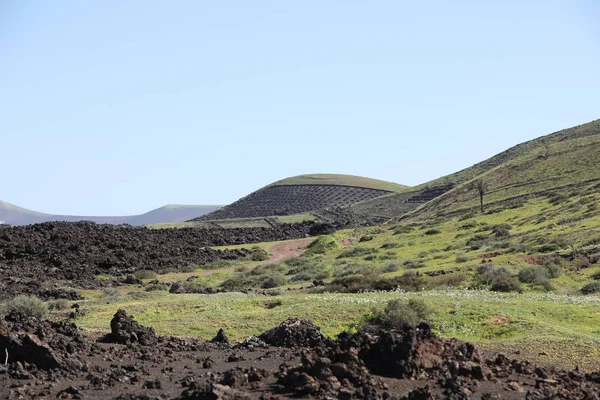Het groene vulkanisch eiland — Stockfoto
