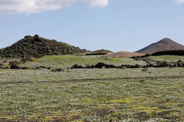 Het groene vulkanisch eiland — Stockfoto