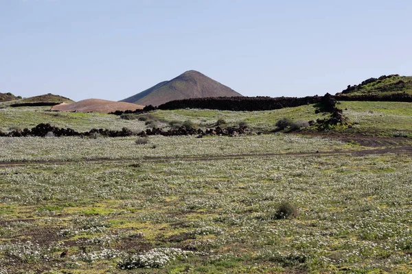 The green volcanic island — Stock Photo, Image