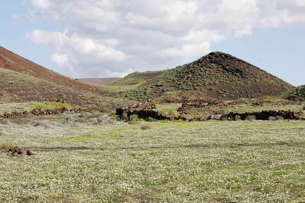 Зеленый вулканический остров — стоковое фото