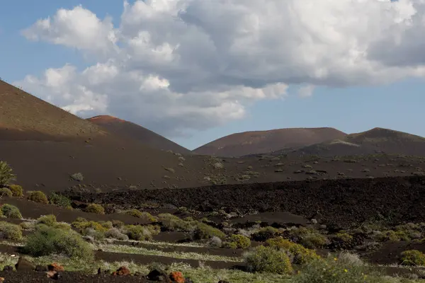 绿色的火山小岛 — 图库照片