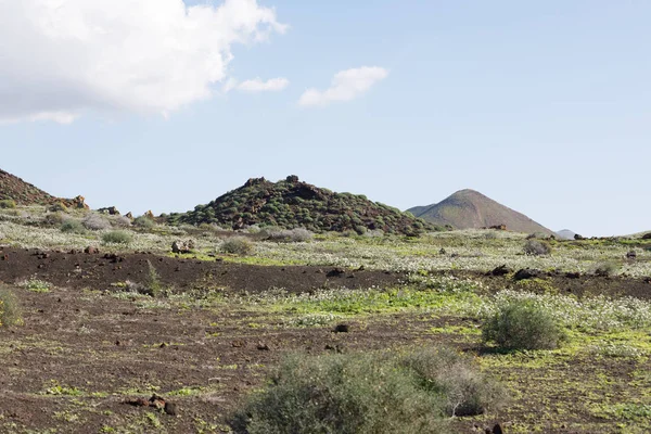 绿色的火山小岛 — 图库照片