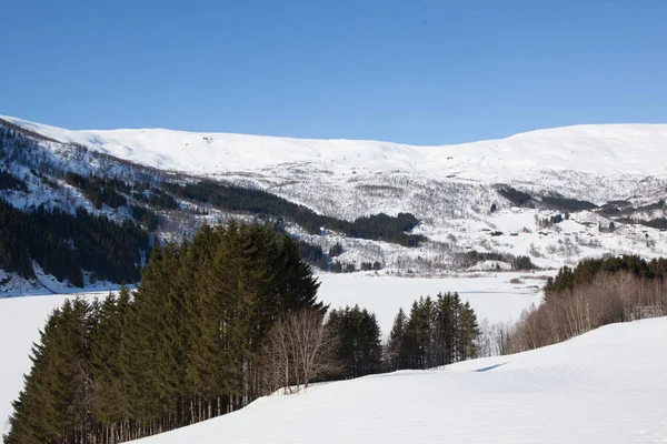 Beau paysage hivernal en Norvège — Photo