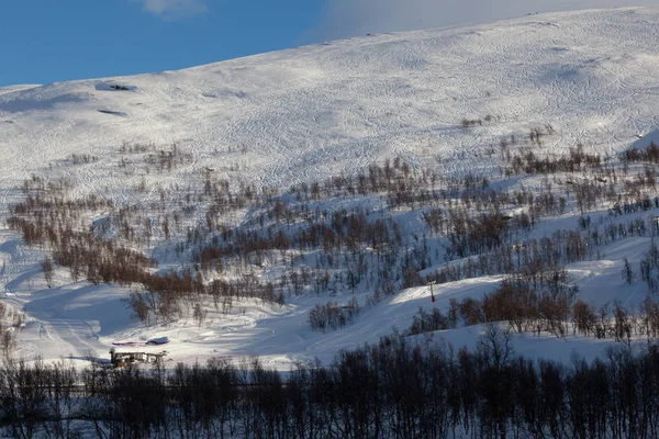 雪地上的滑雪痕迹 — 图库照片