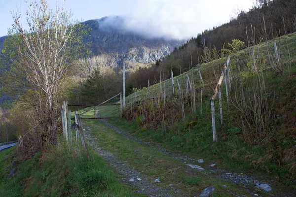 Carretera tractora en el terreno — Foto de Stock