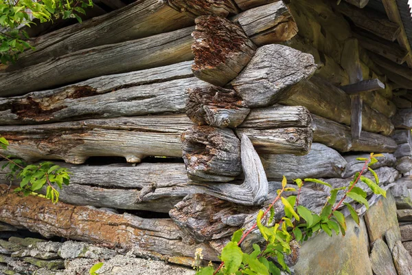 Um edifício velho de uns selos entalhados velhos no sur natural bonito — Fotografia de Stock