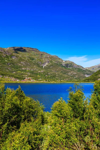 Beau paysage naturel lors d'une belle journée d'été à l'ouest de Norwa — Photo