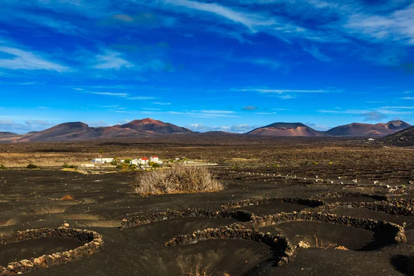 Lanzarote şarap bölgesi sezon kapalı — Stok fotoğraf