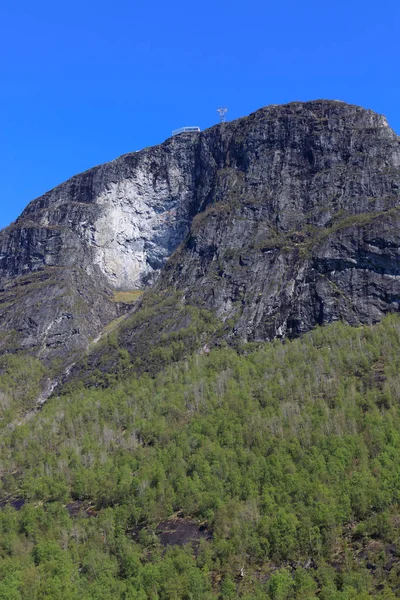龙恩在挪威绿树与雪山一奇妙美丽的春天天. — 图库照片
