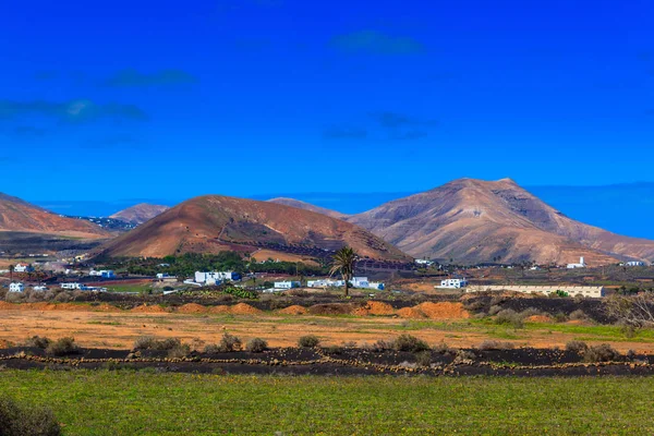 Paesaggio verde coltivato nelle valli di Lanzarote . — Foto Stock