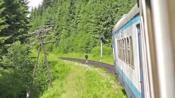 Vista dalla finestra del treno — Video Stock