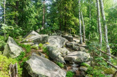 kayalar ve ağaçlar