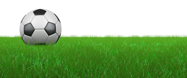 Ball on grass — Stock Photo, Image