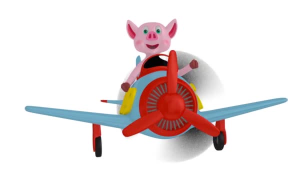 白い背景の上の碑文 2019 で飛行機の中の子豚 — ストック動画