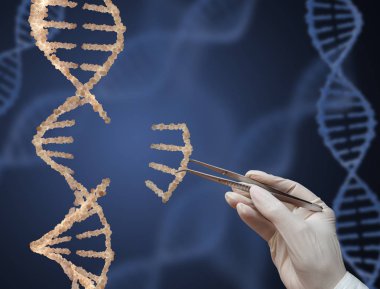dna molekülü