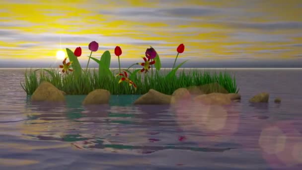 夕日を背景に水の中の花や石 3Dレンダリング — ストック動画