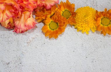 Koyu arkaplanda küçük sarı kasımpatılar.