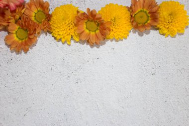 Koyu arkaplanda küçük sarı kasımpatılar.