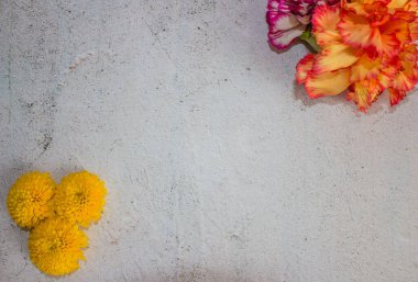 Koyu arkaplanda küçük sarı kasımpatılar.