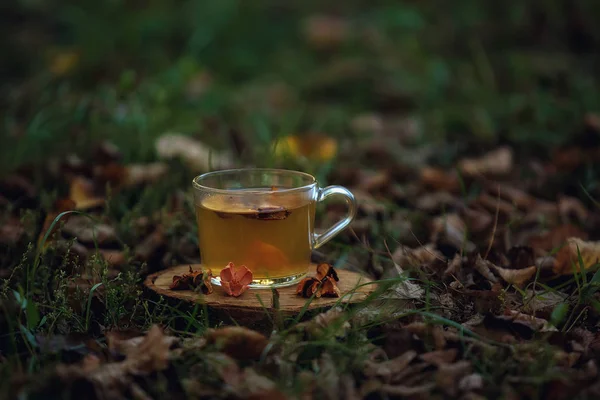 秋のお茶のカップ黄色と茶色の葉 — ストック写真