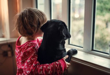 In the room, a boy and a black dog look out the window at the street. clipart