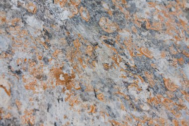 Ses Illetes plaj ve taşlar Formentera Beach