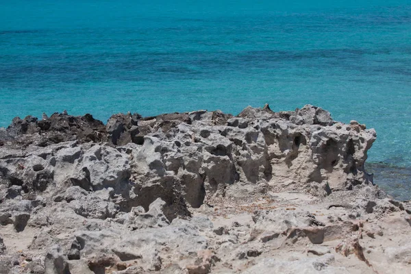 Nella spiaggia di Ses Illetes — Foto Stock