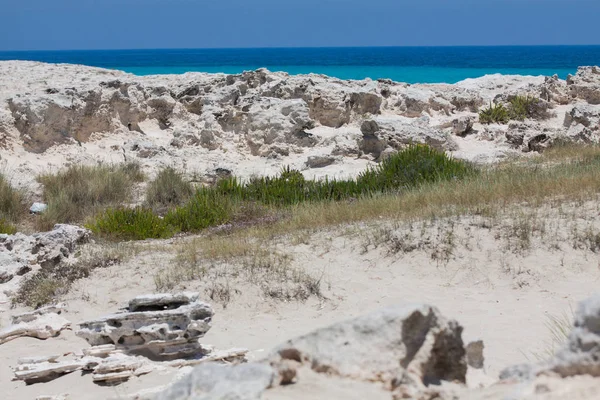 Pietre nella spiaggia di Formentera — Foto Stock