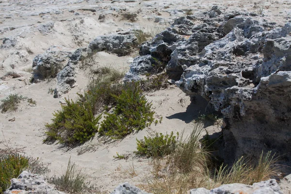 Playa de Ses Illetes y Piedras en Formentera — Foto de Stock