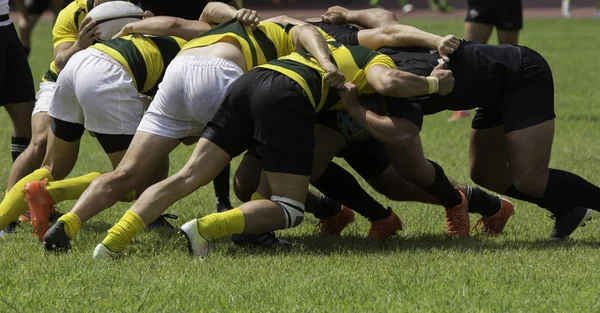 Brincar com multidões durante uma partida de rugby — Fotografia de Stock