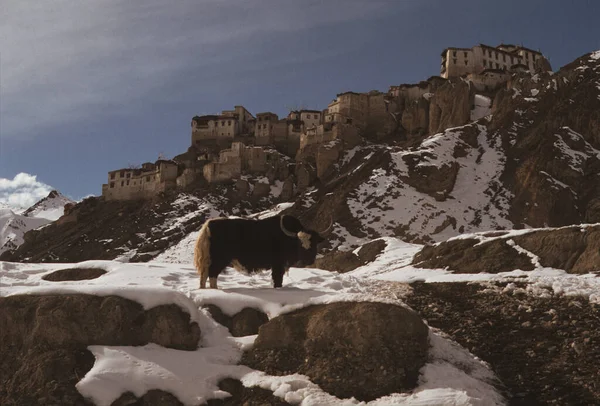 Signboard Nejvyšší Cesta Světa Leh Ladakh Indie — Stock fotografie