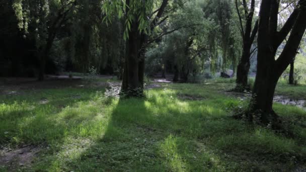 Adda Nord Park Védett Természeti Terület Amely Magában Foglalja Adda — Stock videók
