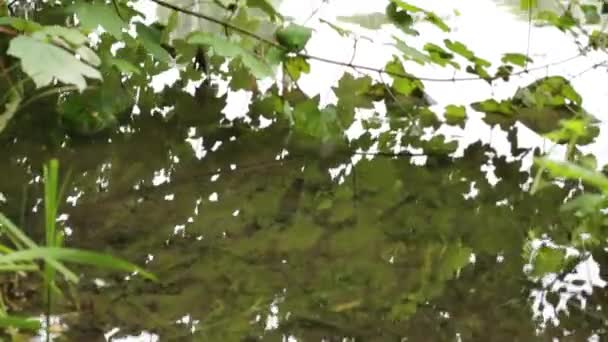 Le parc Adda Nord est une zone naturelle protégée qui comprend les plaines traversées par la rivière Adda. 