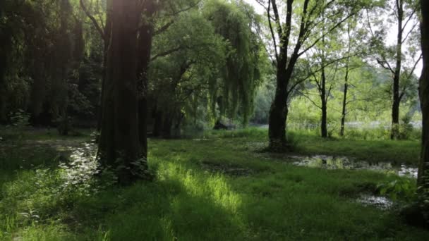 Le parc Adda Nord est une zone naturelle protégée qui comprend les plaines traversées par la rivière Adda. 