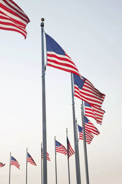 Amerikaanse vlaggen bij de Washington Monument in Washington Dc Stockfoto