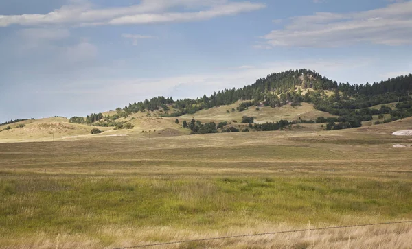 Tepeler ve çam ağaçları Güney Dakota Black Hills