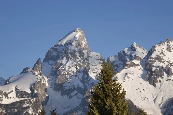 Tele uitzicht op besneeuwde pieken van de Grand Teton Stockafbeelding