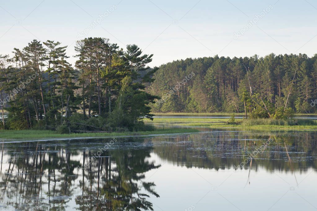 Island with pine trees on a calm northern Minnesota river