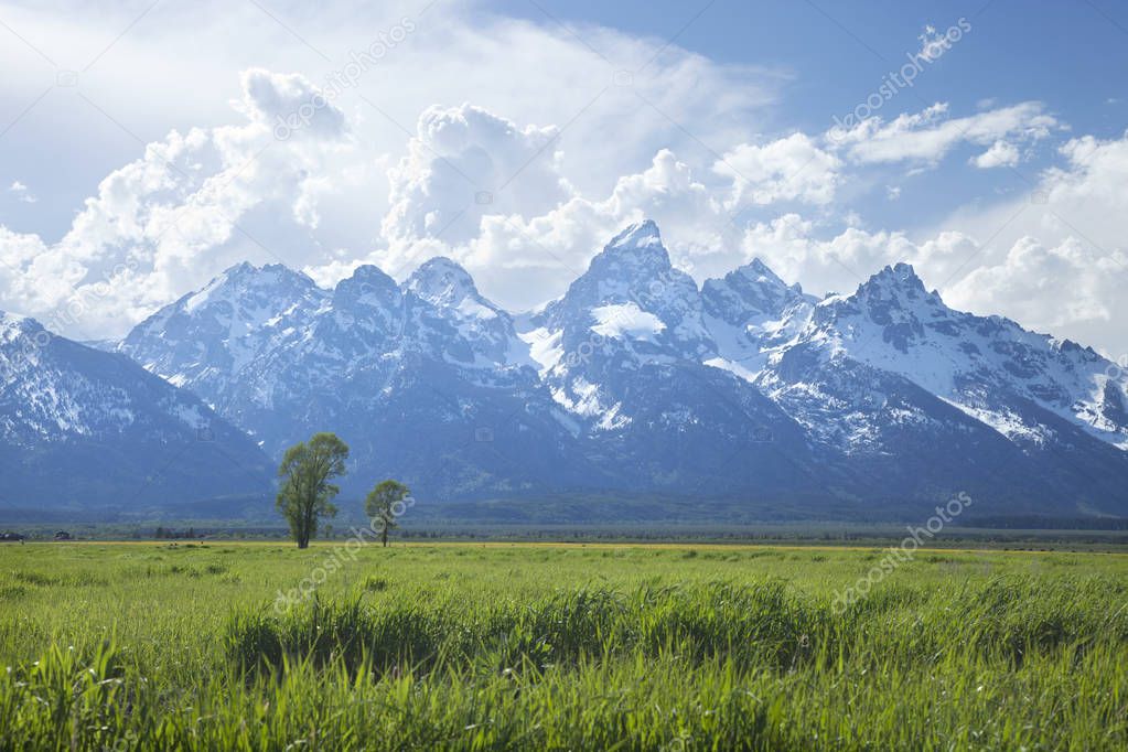 Grand Teton mountain range above grassy fields in Wyoming