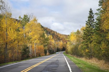 Yola yakın North Shore Minnesota ağaçlarda sonbahar renk ile