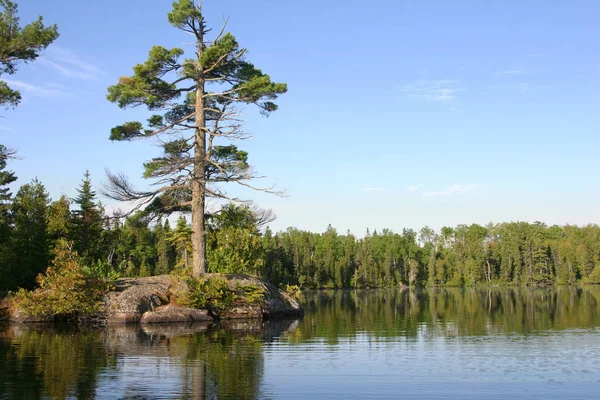 Pequeña isla con gran pino en el tranquilo lago de Minnesota — Foto de Stock