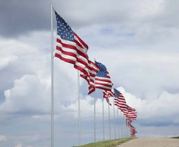 American flags of a memorial for veterans flying in the breeze — Stock Photo, Image