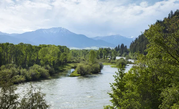 De South Fork van de Snake River in de vallei van de zwaan van Idaho — Stockfoto